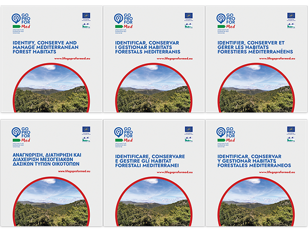 Un progetto per la Conservazione e gestione degli habitat forestali mediterranei