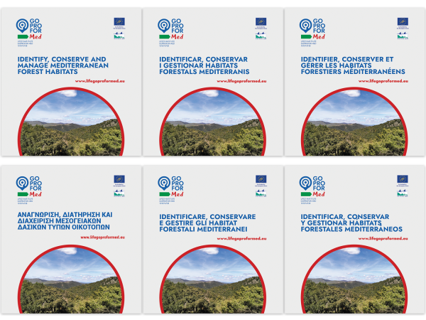 A project for the conservation and management of Mediterranean forest habitats